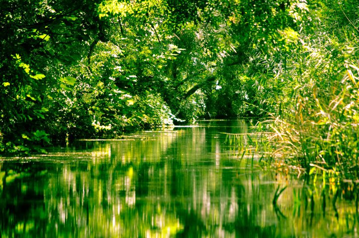 Riserva Naturale Regionale Orientata Fiume Ciane e Saline di Siracusa