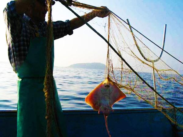Pescaturismo: fonte di reddito e di turismo